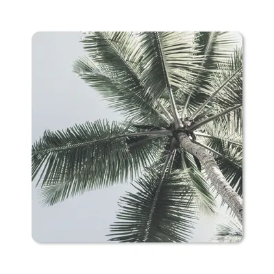 Produktbild von MuchoWow® Mauspad Mousepad Palme - Tropisch - Sommer 20x20 cm - Mousepads - Maus Mat - Pad - Mausunterlage - Desk Mat - Bureauartikeln