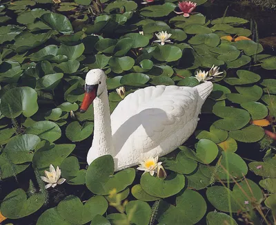 Produktbild von Ubbink Gartendekoration Weißer Schwan Kunststoff