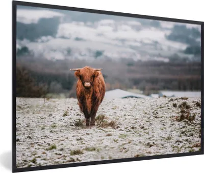 Produktbild von MuchoWow® Gerahmtes Poster Schottischer Highlander - Schnee - Berg 90x60 cm - Poster mit Schwarzem Bilderrahmen Wandposter Rahmen Foto Bilder - Fotorahmen - Foto-Plakat