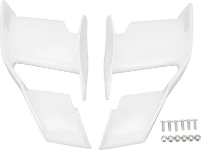 Productafbeelding van Motorfietskuipdelen - Winglets voor verhoogde stabiliteit en vermindering van aerodynamische trillingen, geschikt voor S1000R en M1000R modellen van 2021 tot en met 2023