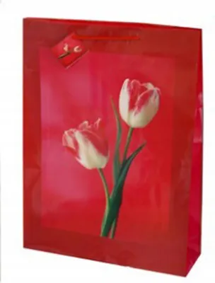 Image de Geschenktüte 33X10.2X45.7Cm Tg-40