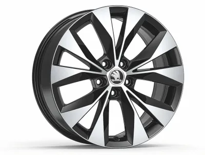 Obrázek produktu pro Kolo z lehké slitiny CASSIOPEIA 18" pro SUPERB III