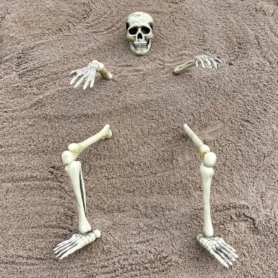 Produktbild von Knochen & Erdspieße / Halloween Garten Boden Skelett Deko