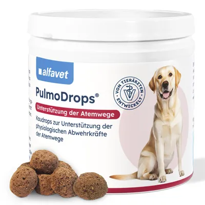Obrázok produktu pre PULMODROPS doplnkové krmivo pre psov, 180 g KTA