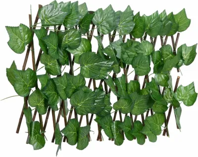 Produktbild von Rankgitter mit Künstlichem Weinlaub Erweiterbar Grün 180x30 cm 366580