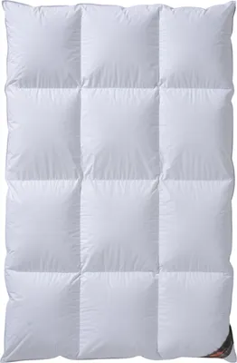 Produktbild von Winter Bettdecke 135x200 90% Daunen / 10% Federchen