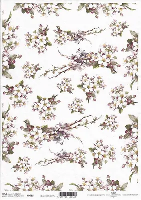 Immagine prodotto di ITD carta di riso decoupage tecnica artigianale tovagliolo di carta-R685 - A4 fiori di melo