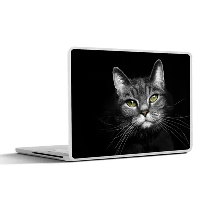 Produktbild von MuchoWow® Laptop Aufkleber Sticker Cover Haustiere - Katze - Tiere - Schwarz - Weiß 40x30 cm - Laptop Dekoration - Selbstklebend