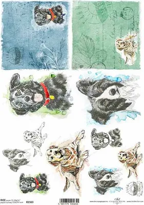 Produktbild von ITD Reispapier Decoupage Bastelpapier Softpapier Serviettentechnik, Hund R1563