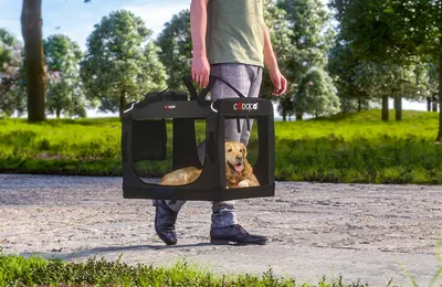 Image de Sac de transport pour chien XXXL 101x70x70cm, pliable, couverture amovible, aérations en filet