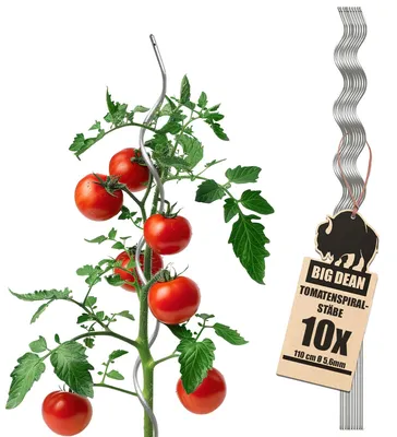 Image de Escalier en spirale pour tomates, en acier galvanisé - Qualité professionnelle
