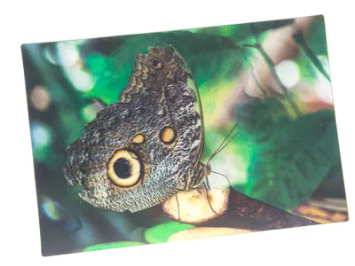 Produktbild von 3 D Ansichtskarte Schmetterling, Bananenfalter, Postkarte Wackelkarte Hologrammkarte Tiere Tier Falter