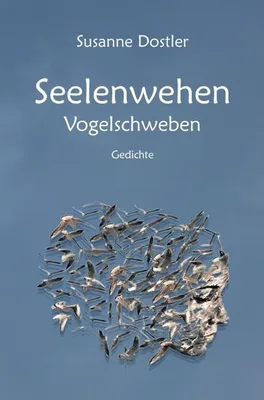 Obrázek produktu pro Seelenwehen
