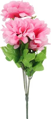 Produktbild von Strauß aus 5 rosa Chrysanthemen