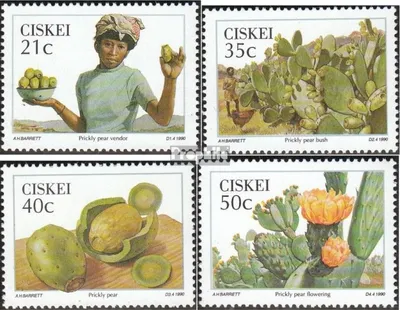 Produktbild von Briefmarken Südafrika - Ciskei 1990 Mi 179-182 (kompl.Ausg.) postfrisch Eßbare Wildfrüchte