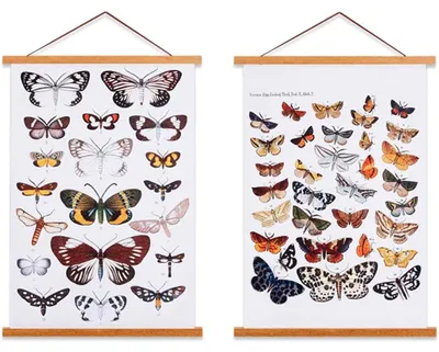 Produktbild von Elzusha - Holzleiste für Poster, 50x70 cm, mit Magneten