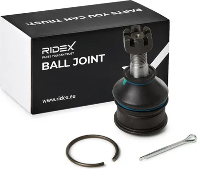 Produktbild von RIDEX Traggelenk Unten für NISSAN MICRA II (K11) 2462S0117