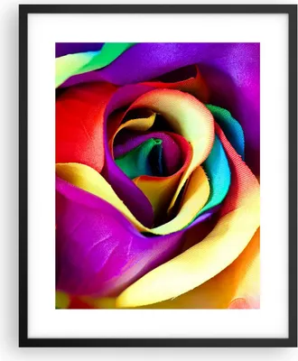 Produktbild von Gerahmtes Poster - Schwarzer Rahmen - Blume Farbe Rose - 40x50 cm - Wand Bild - Wanddeko - Wandbilder - Kunstposter - Wandposter - Bilderrahmen - Bilder - Kunstdruck - Wandbild - P2BPA40x50-3623