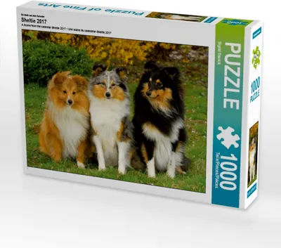 Produktbild von Calvendo Ein Motiv aus dem Kalender Sheltie 2017 1000 Teile Puzzle quer 640x480mm, Starick Sigrid; 7355187