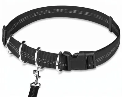 Schwarzes Hundehalsband mit reflektierenden Nähten, schwarzer Kunststoffschnalle und mehreren silbernen D-Ringen, mit befestigtem silbernen Leinenclip