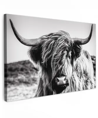 Produktbild von OneMillionCanvasses® - Leinwandbilder - 150x100 cm, Kuh - Schottisches Hochlandrind - Schwarz - Weiß - Tier - Natur - Wildtiere, Wandbilder Kunstdruck