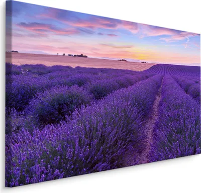 Produktbild von Fabelhafte Canvas LEINWAND BILDER 100x70 cm XXL Kunstdruck Natur Blumen Lavendel Feld