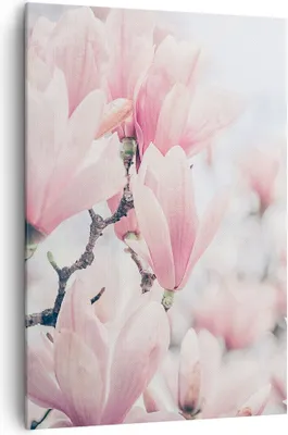 Produktbild von Bild auf Leinwand - Leinwandbild - Einteilig - Magnolie Blumen Rosa - 70x100cm - Wand Bild - Wanddeko - Wandbilder - Leinwanddruck - Wanddekoration - Leinwand bilder - Wandbild - PA70x100-4396
