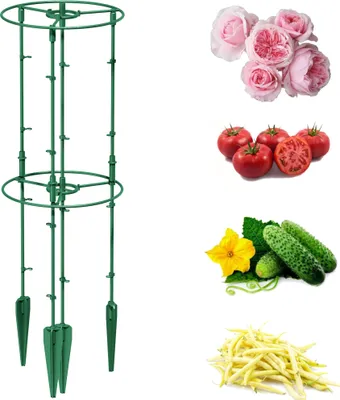 Immagine prodotto di Supporto per piante rampicanti per pomodori e cetrioli H 80cm