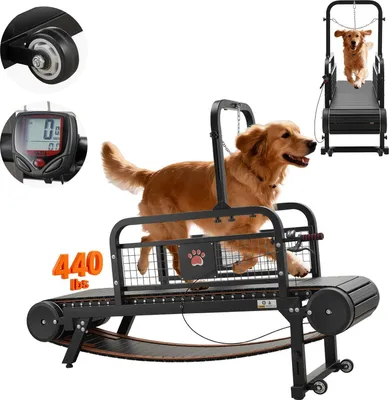 Image de Tapis roulant pour chiens - Tapis roulant pour chiens de petite et moyenne taille - Réglage continu de la vitesse - Frein et roulettes - Inclinaison 11 cm - Charge maximale 199,6 kg - 175 x 51 x 136 cm