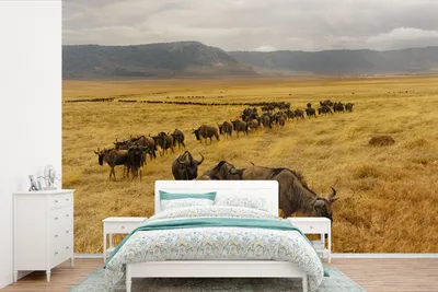 Produktbild von MuchoWow® Fototapete für Wohnzimmer oder Schlafzimmer Wandtapete Vinyl Motivtapete Wildtierherde im Krater von Ngorongoro in Tansania - 390x260 cm - Papiertapete