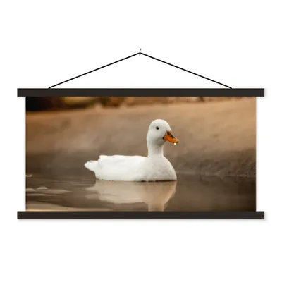 Produktbild von MuchoWow® Textilposter Ente - Vogel - Wasser - Weiß 120x60 cm mit schwarzem Rahmen - Dekoration Schlafzimmer