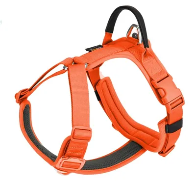 Image de Harnais réglables pour chiens avec une poignée robuste