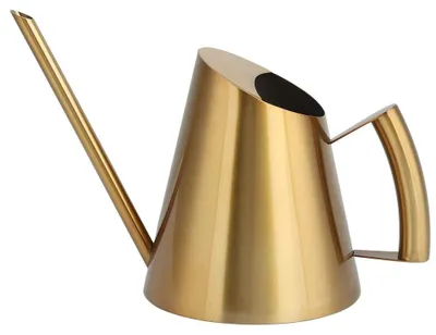 Immagine prodotto di Brocca in acciaio inossidabile con beccuccio lungo, ideale per piante