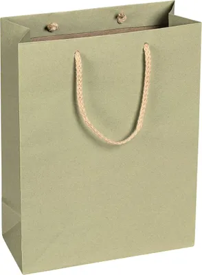 Image de Sacs en papier, vert sauge, 22 x 29 x 10 cm, cordon en coton - lot de 12