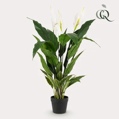 Produktbild von Kunstpflanze - Spathiphyllum - Einblatt - 90cm