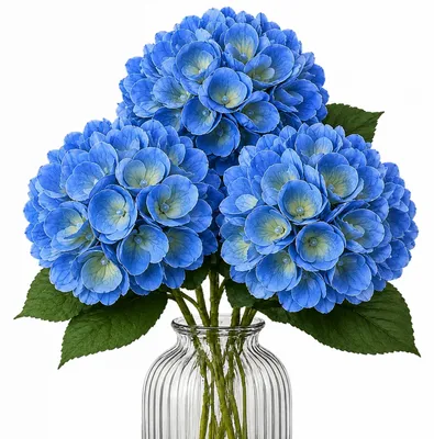 Produktbild von G.blümt Künstliche Hortensien 64 cm lang, Kunstblumen Real Touch wie echt, Blau 3 Stück