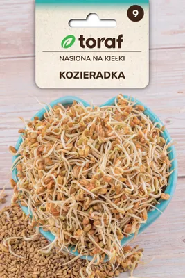 Immagine prodotto di kiełki 20g KOZIERADKA TF1409