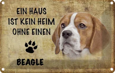 Produktbild von vianmo Blechschild 12x18 cm Beagle Hund ohne kein Heim Tier Haustier