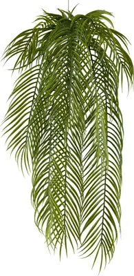 Produktbild von Palmblatthänger FLOWERS
