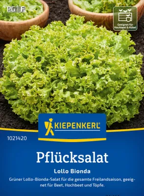 Artikelbild 2 von 'Pflücksalat Lollo Bionda' aus der Kategorie Pflücksalatsamen