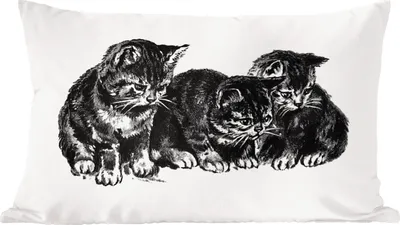 Produktbild von MuchoWow® Zierkissen Sofakissen Wohnzimmer Dekokissen 60x40 cm Retro - Katze - Tiere - Kopfkissen - Polster mit Foto
