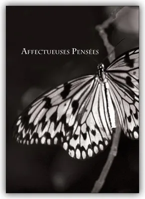 Produktbild von 4x Feine Trauerkarte mit Schmetterling, französisch: Affectueuses Pensées