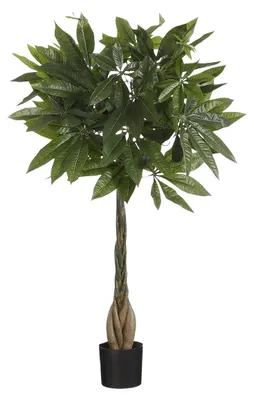 Obrázek produktu pro Mica Decorations Pachira umělá rostlina - V80 x Ø60 cm - zelená