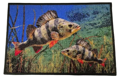 Obrázek produktu pro Podlahová rohož s motivem ryb – 60 x 40 cm – Vstupní rohož
