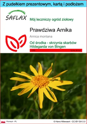 Zdjęcie produktu dla SAFLAX - Zestaw prezentowy - Prawdziwa Arnika - 40 Nasiona - Z pudełkiem upominkowym, etykietą wysyłkową, kartą podarunkową i podłożem uprawowym - Arnica montana