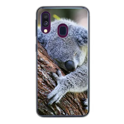 Produktbild von MuchoWow® Handyhülle Schutzhülle Hülle für Samsung Galaxy A40 Koala - Baum - Schlaf - Kinder - Jungen - Mädchen Silikon Softcase Handy Hülle - Handy-Tasche