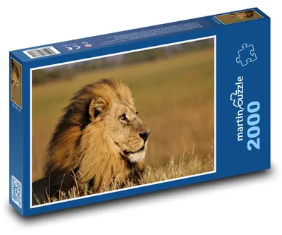 Obrázok produktu pre Puzzle 2000 Lev - kráľ džungle, cicavec - martinpuzzle