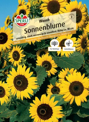 Produktbild von Sonnenblume Waooh Sperli Samenfestes Saatgut Blumensamen