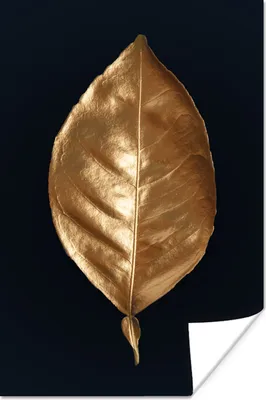 Produktbild von MuchoWow® Poster Blätter - Chic - Gold - Pflanzen - Schwarz 120x180 cm - Kunstposter