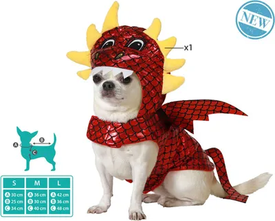 Produktbild von Hundekostüm Größe M Drache